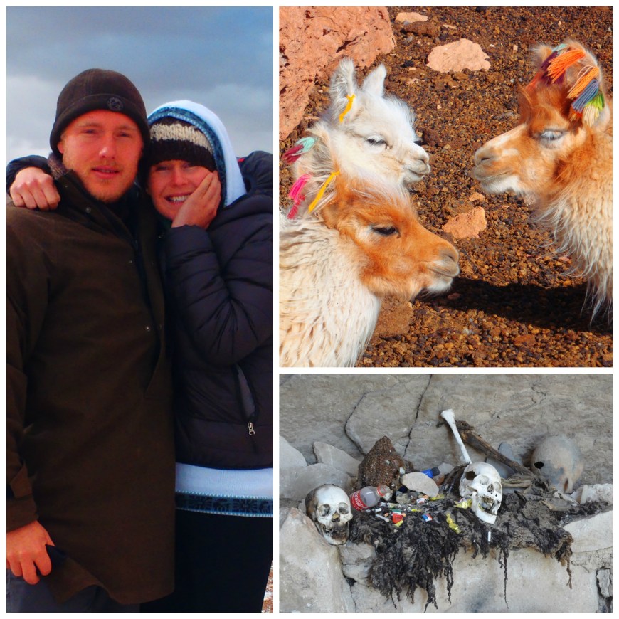 The sculls of unidentified pilots in the Bolivian high country 