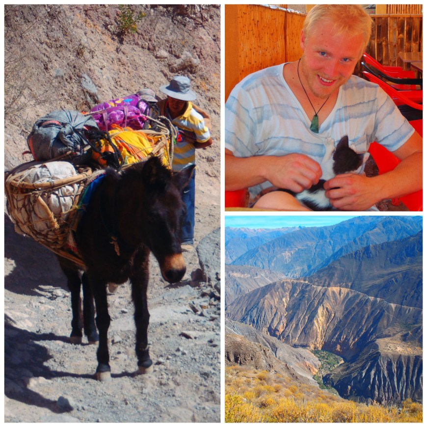 Colca Canyon