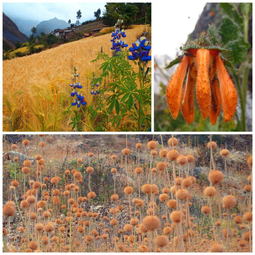 Santa Crus Trek scenes