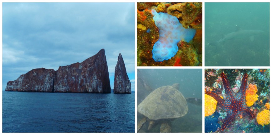 Kicker Rock, San Cristobal