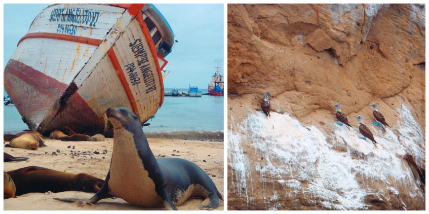 San Cristobal, Galapagos