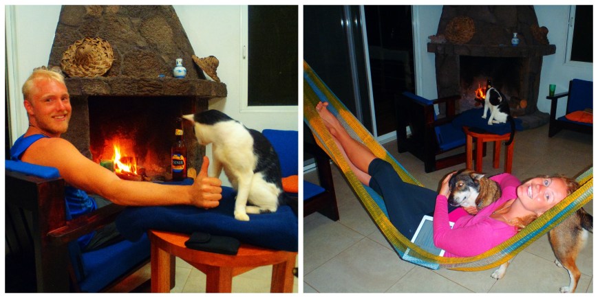 Our animals on Santa Cruz Island