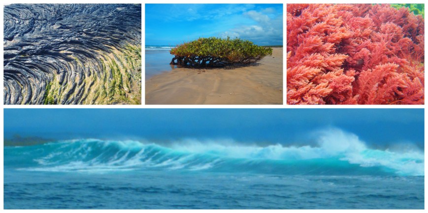 Galapagos Islands landscapes