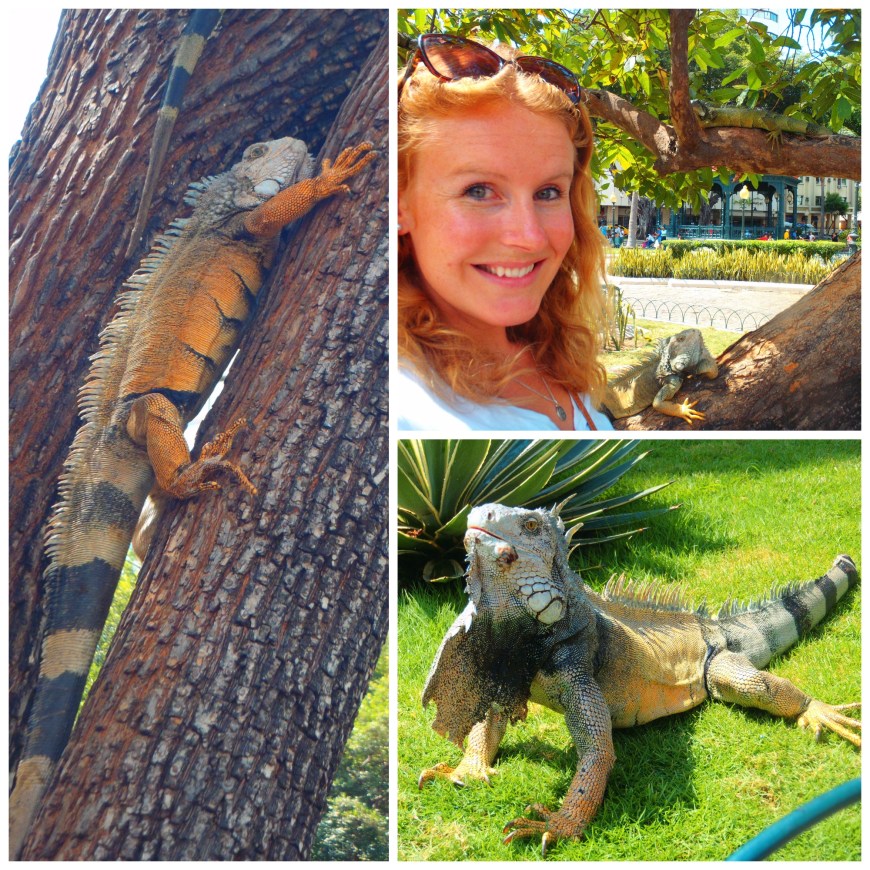 Parque de las Iguanas, Guayaquil