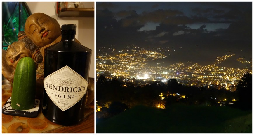 Fancy gin and the view from the restaurant