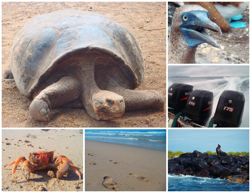 Galapagos Islands