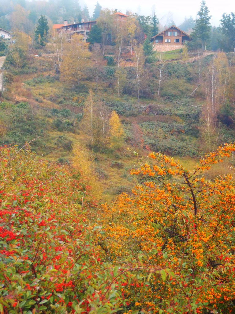 La Cumbrecita, Argentina