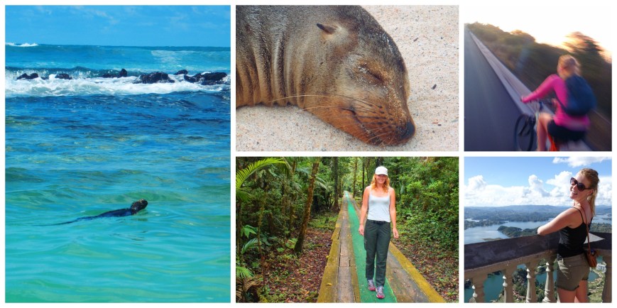 The Galapagos Islands & the Amazon were highlights