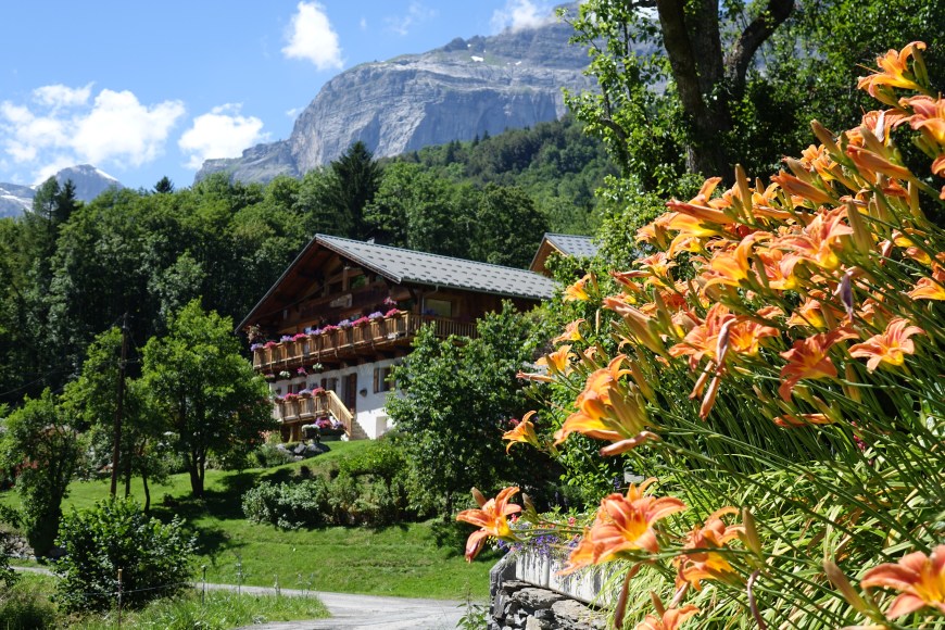 The French Alps - oh my!